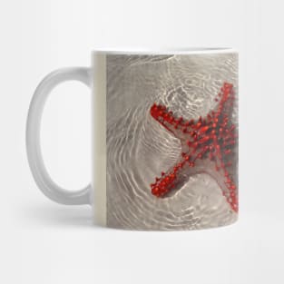 The Starfish Mug